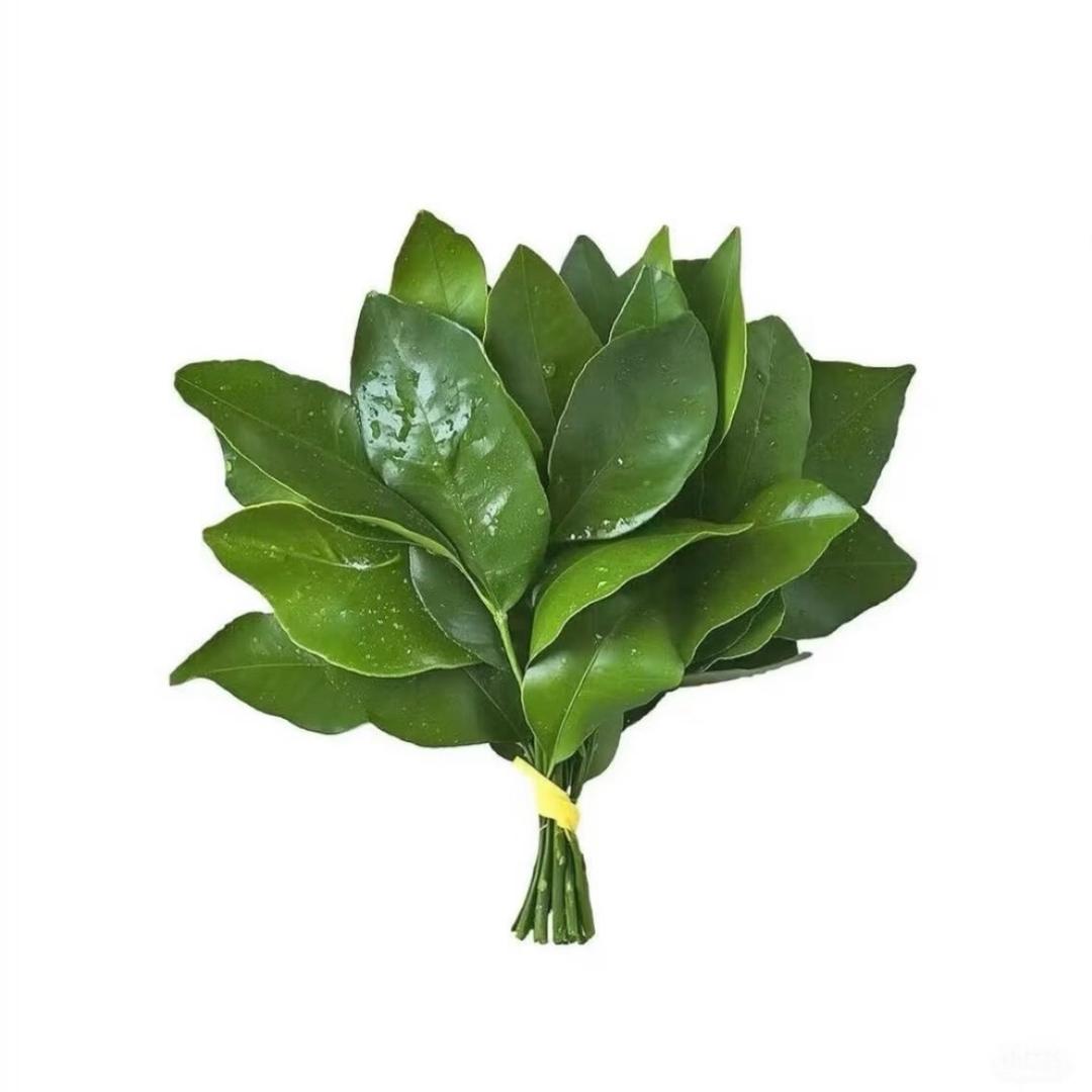 小x