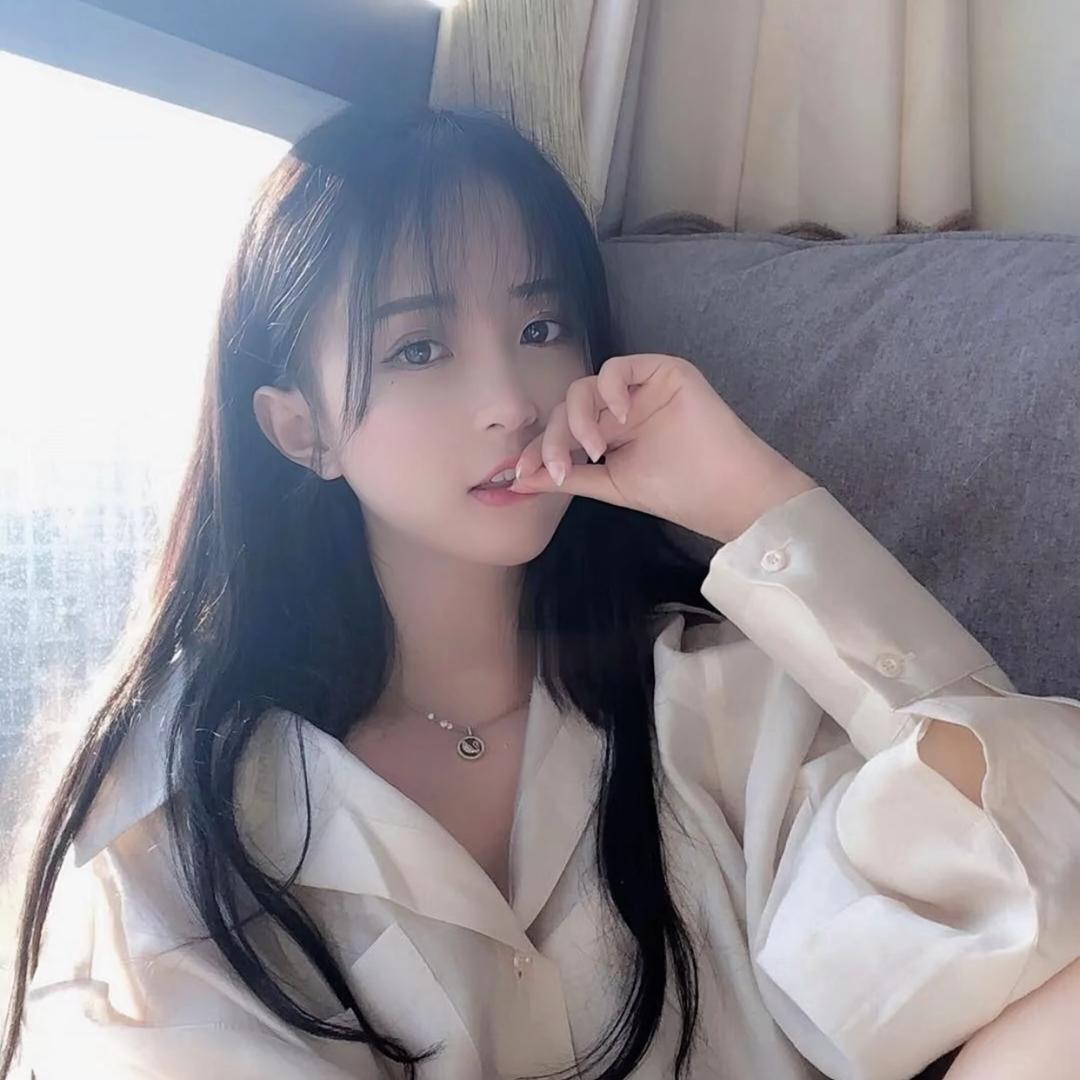 金燕子