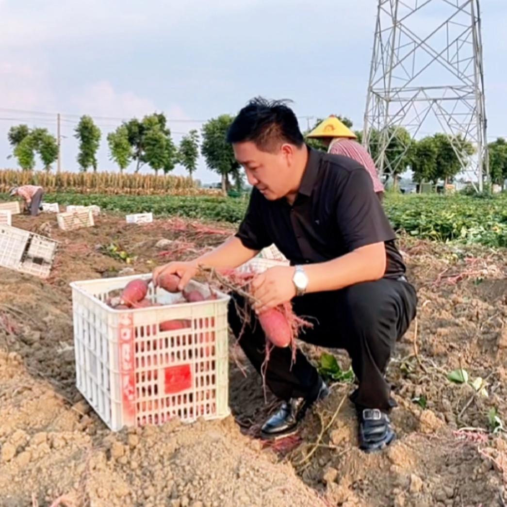 临泉新农人马哥