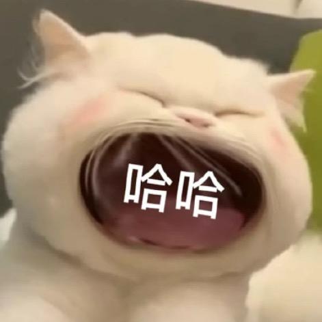 6662