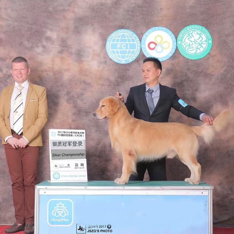 东莞耀星犬舍