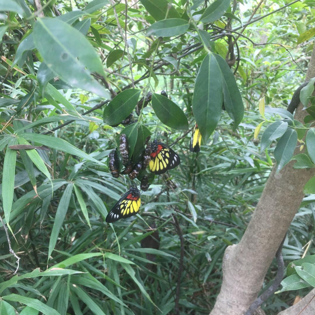 向往自由的生活