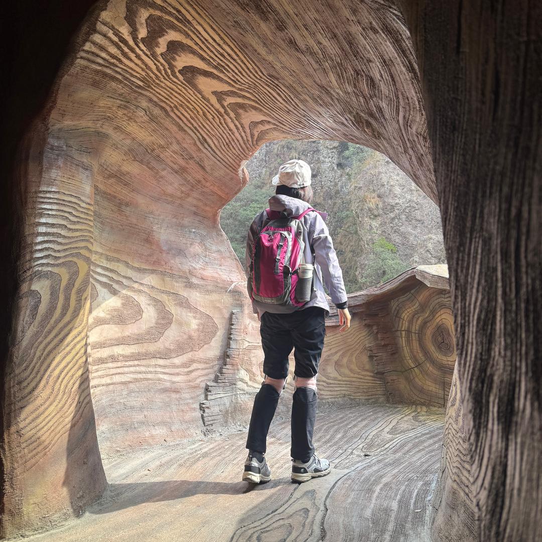 去吹吹自由的风