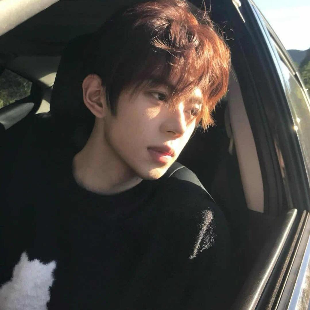 ㅤㅤㅤㅤㅤㅤㅤㅤㅤㅤㅤ晴天