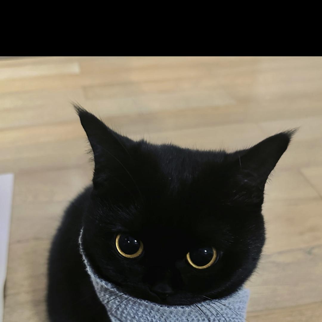 格迈畅旅小铺子