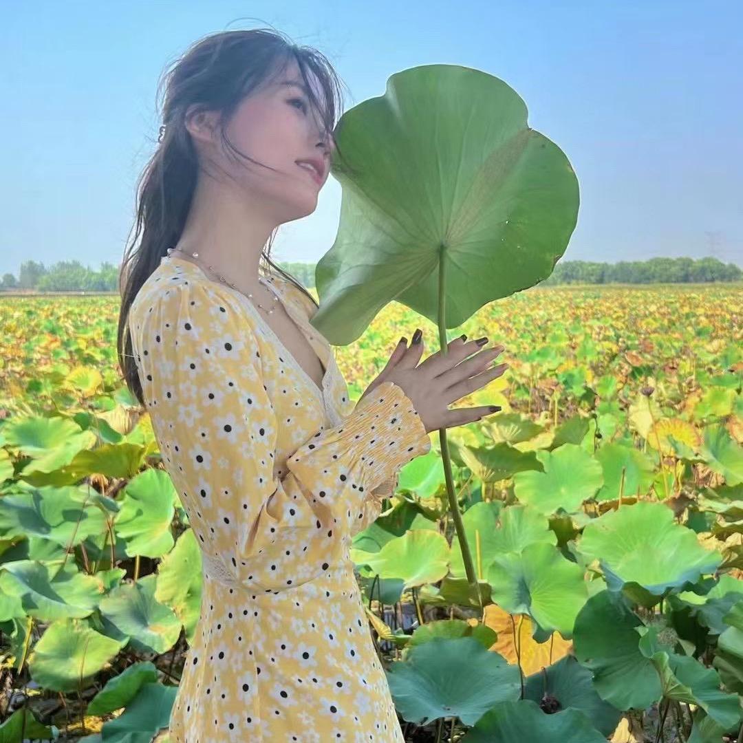 一万吨的猫