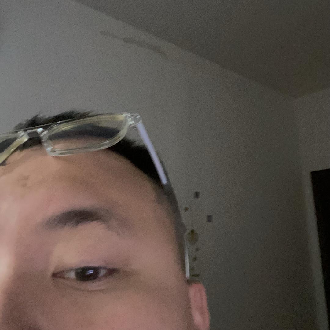 免费鸭子