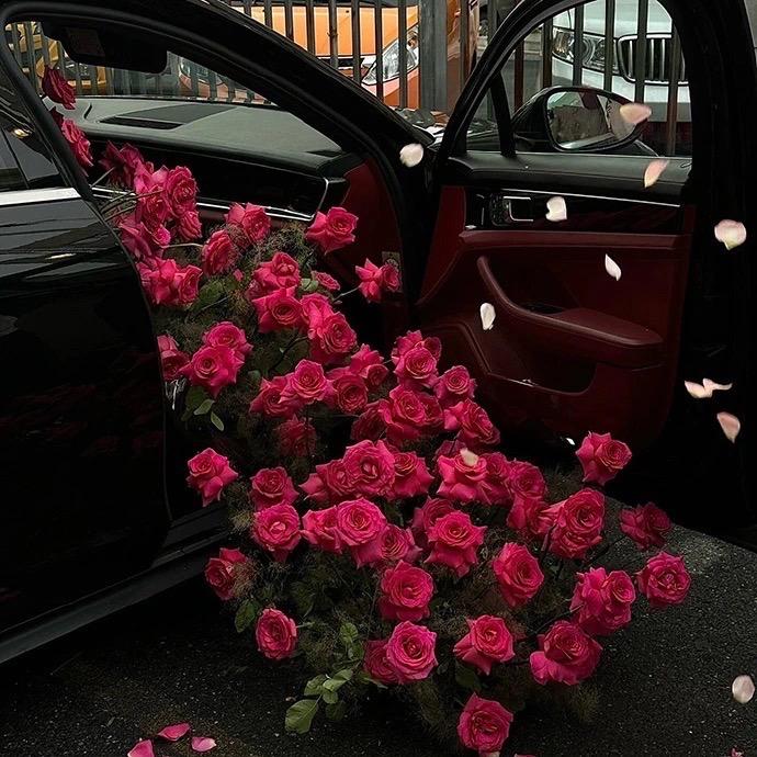 💕🌸💕🌸💕