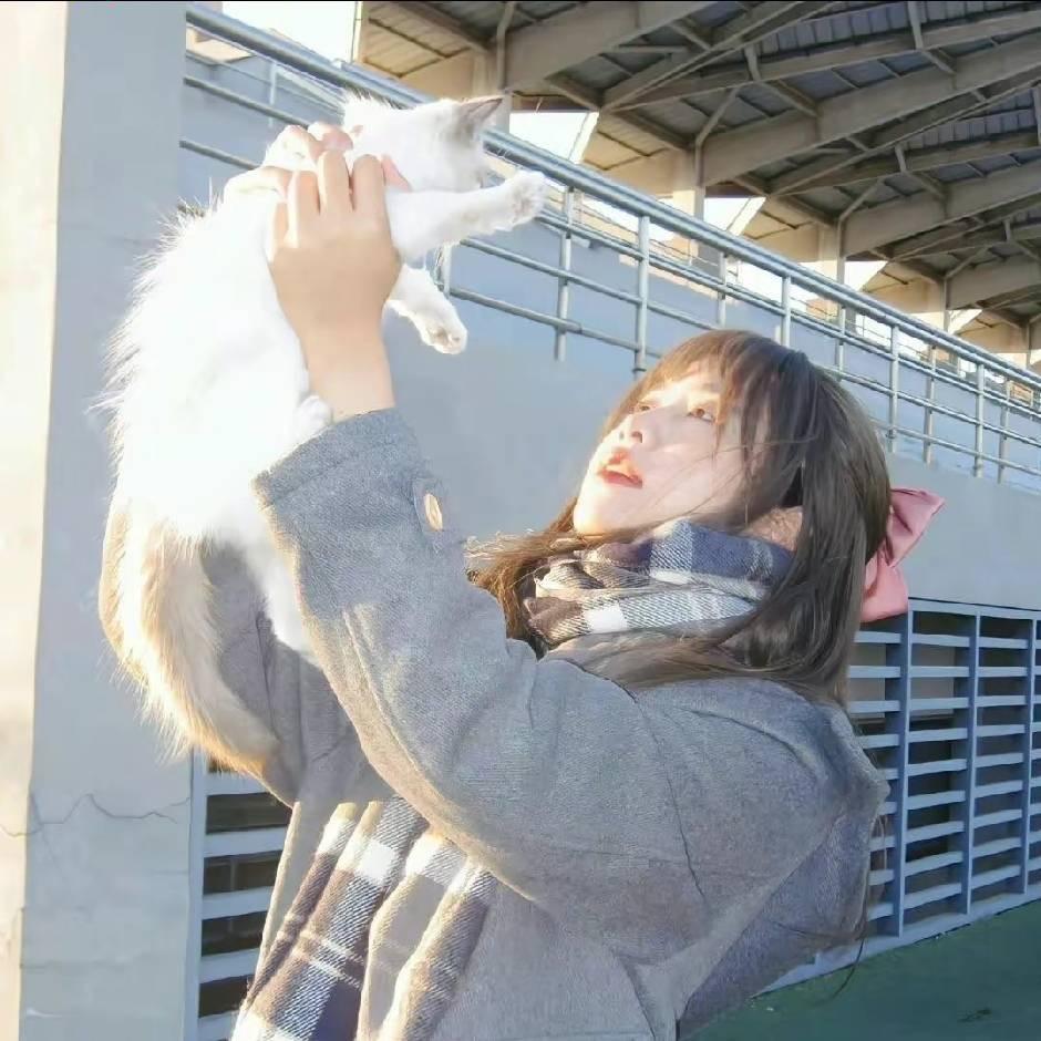 Aurora ㅤㅤㅤㅤㅤ