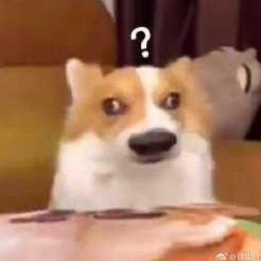 一级葱师（封票纯享版）