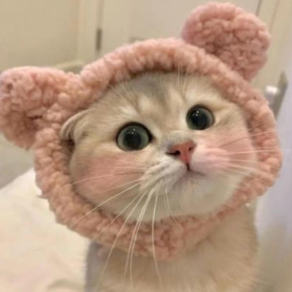 玖