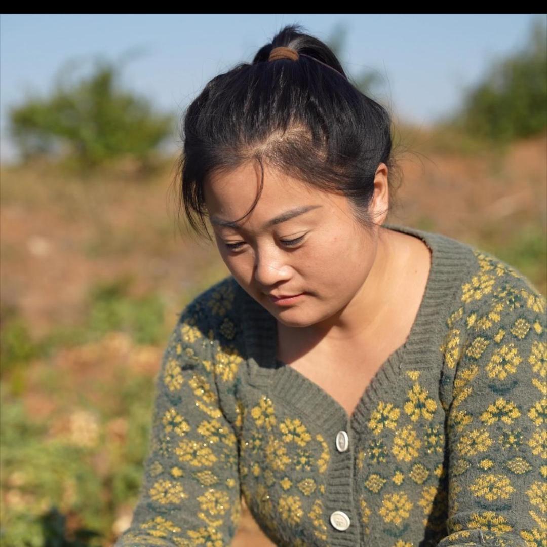 乡村瑞瑞好物分享号