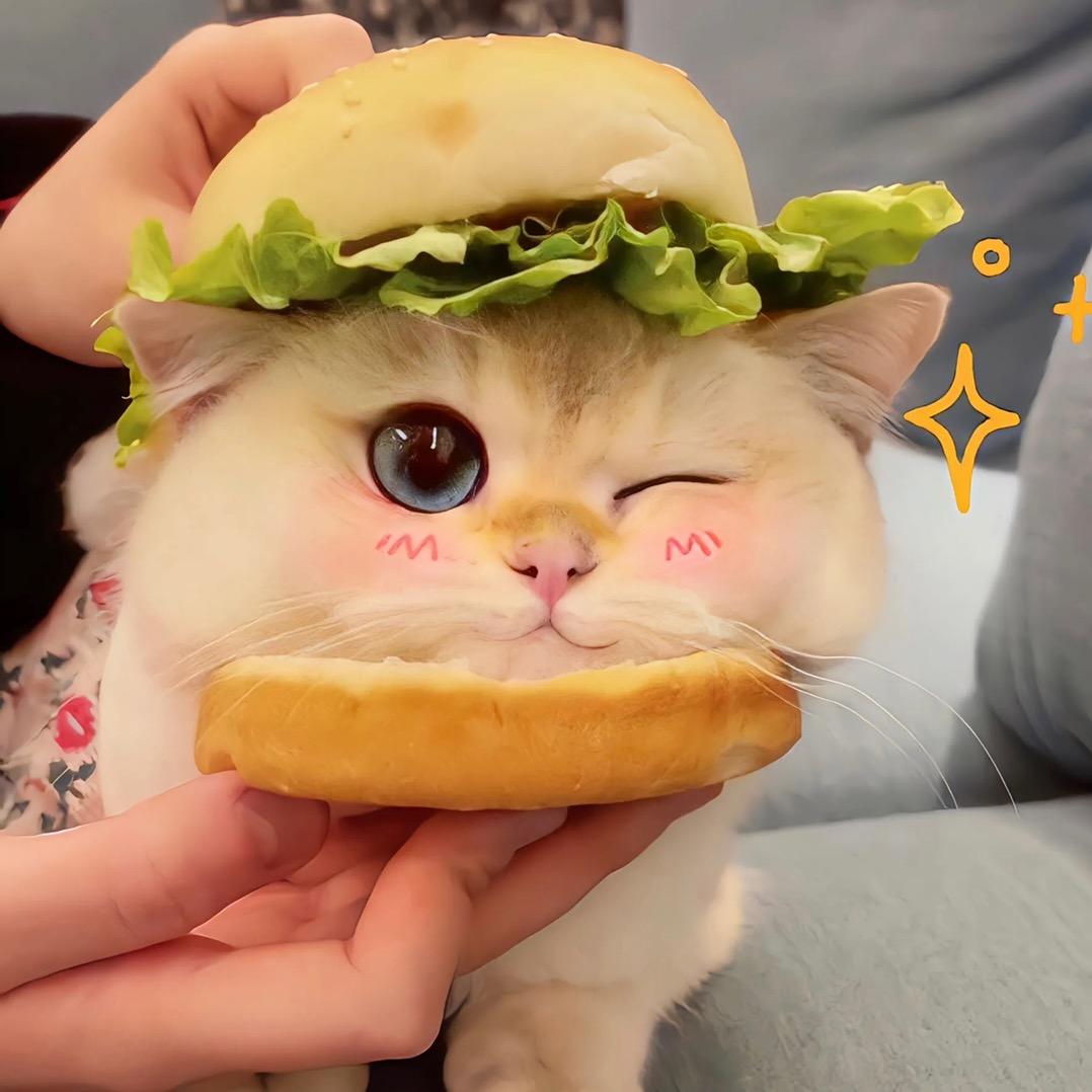 小口吃不饱