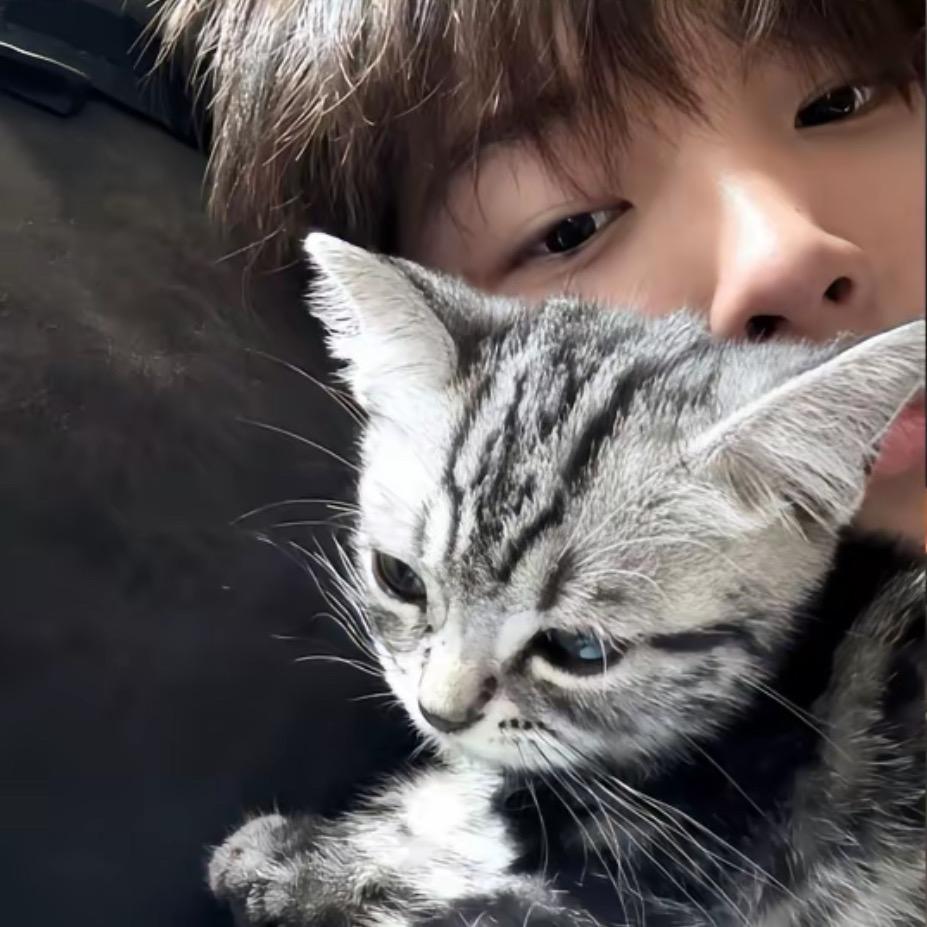 你算哪块小饼干