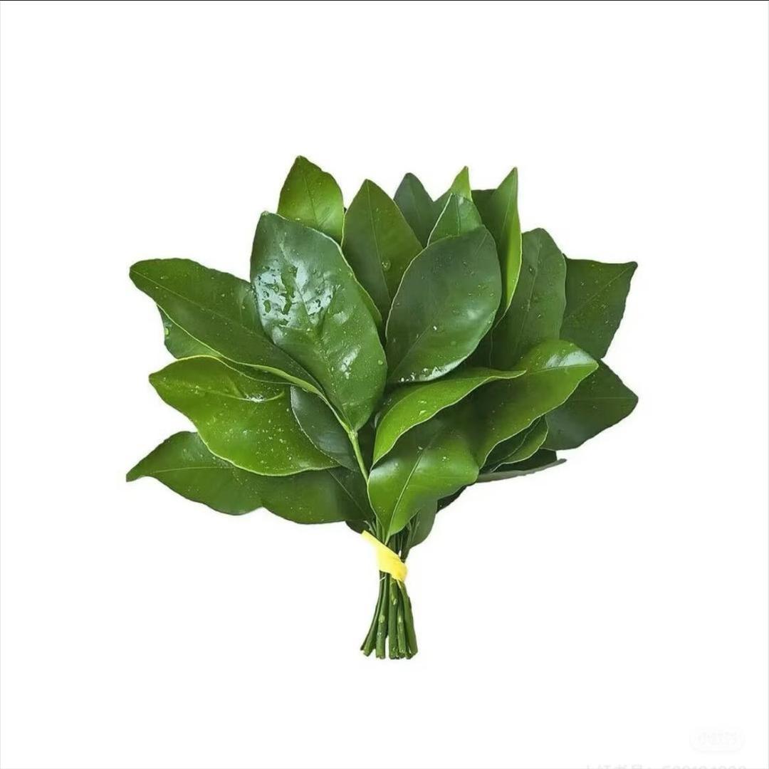 池