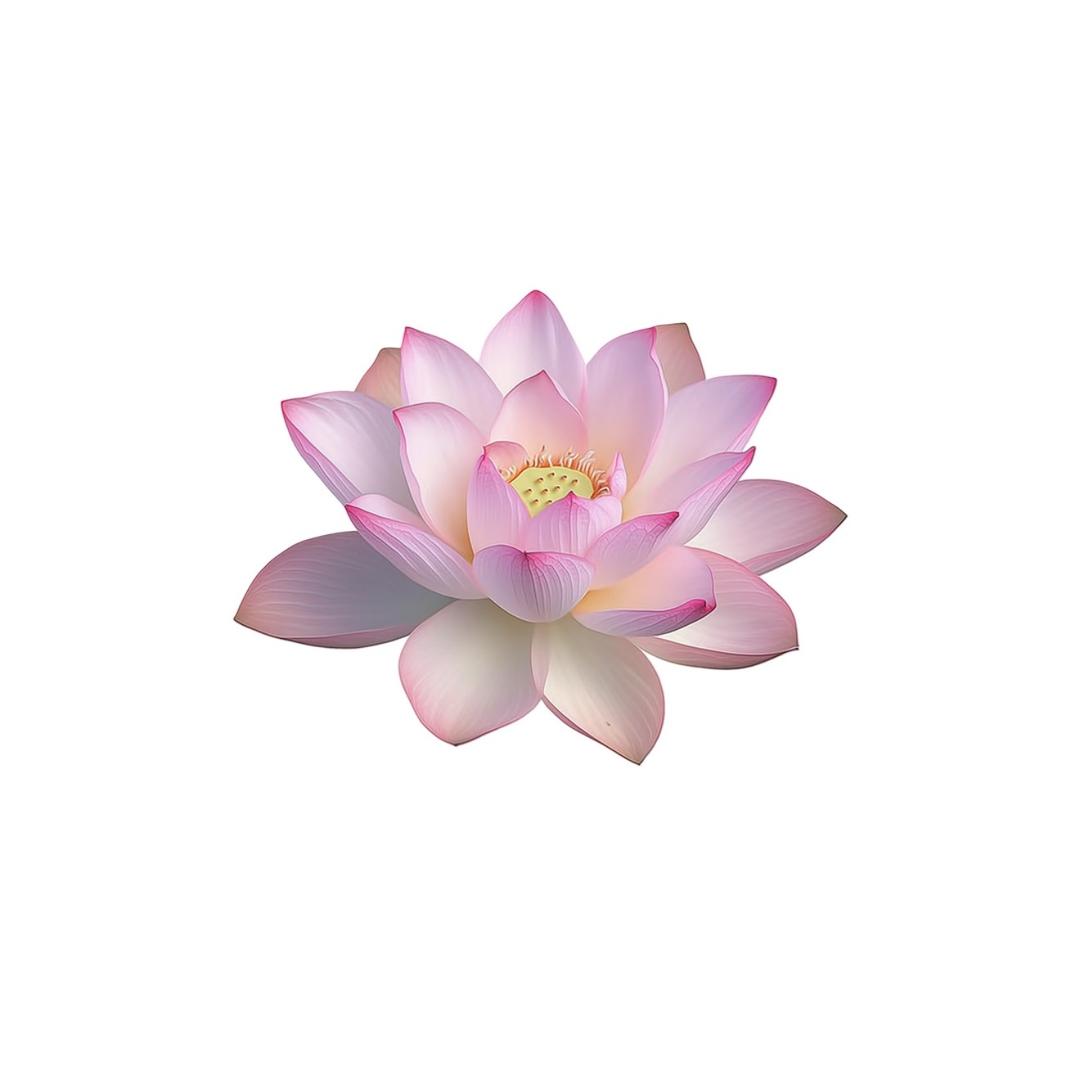君辞