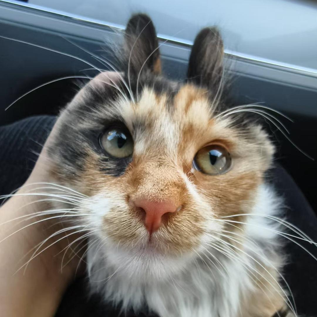 不知道取啥名才取这名