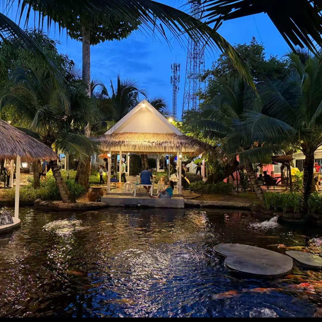 山里最灵活的猴