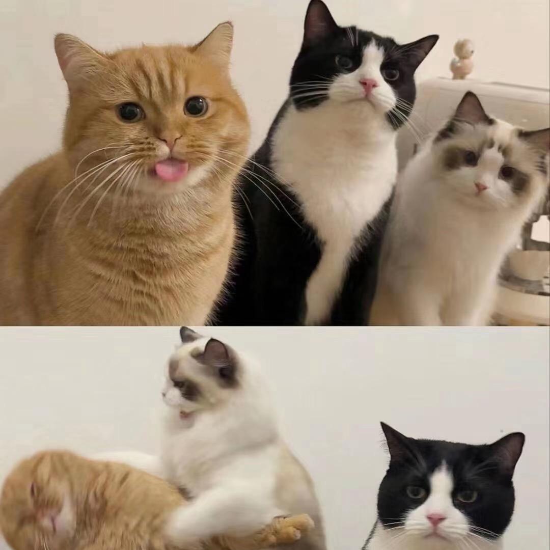 A   开心