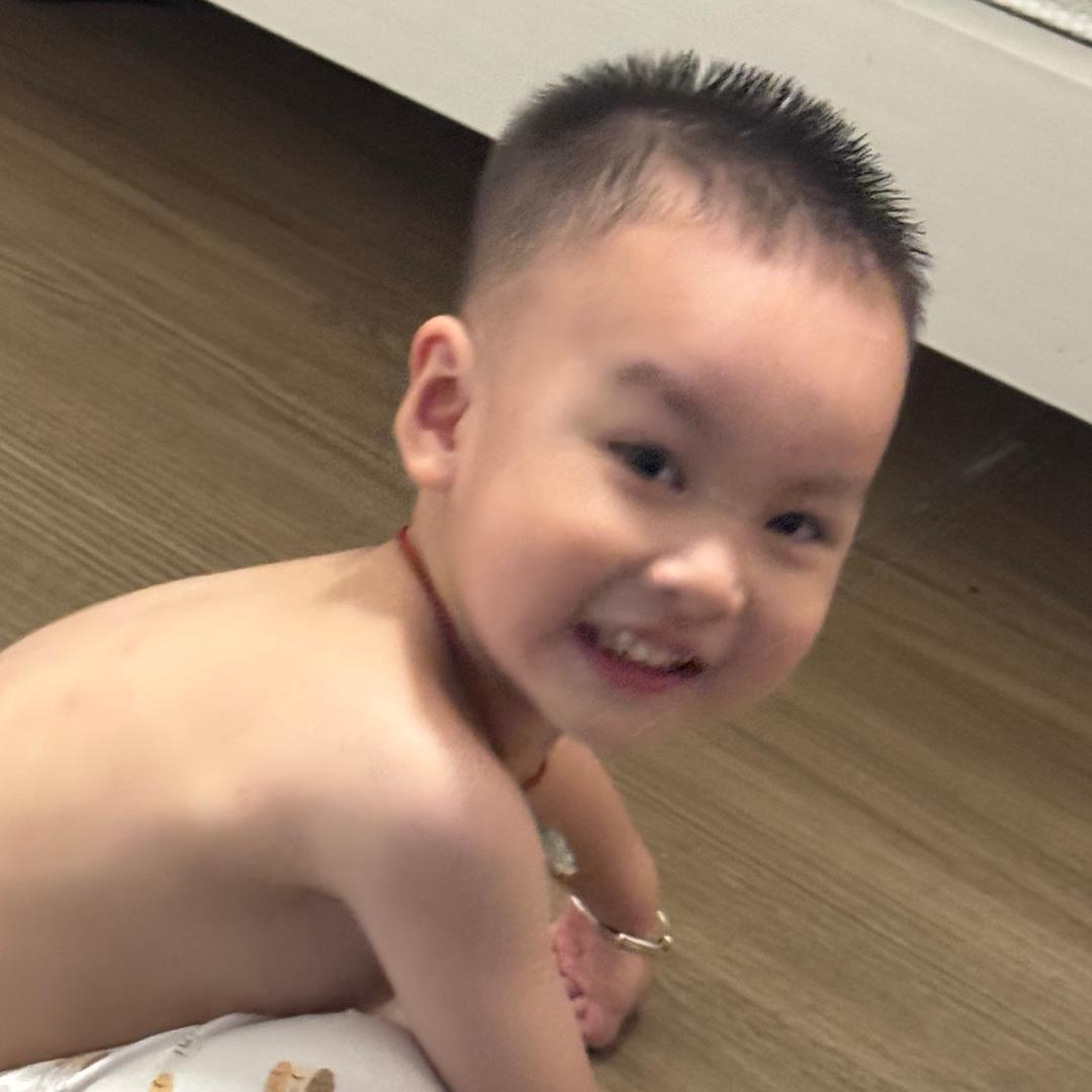 蓓蓓巴士🚌