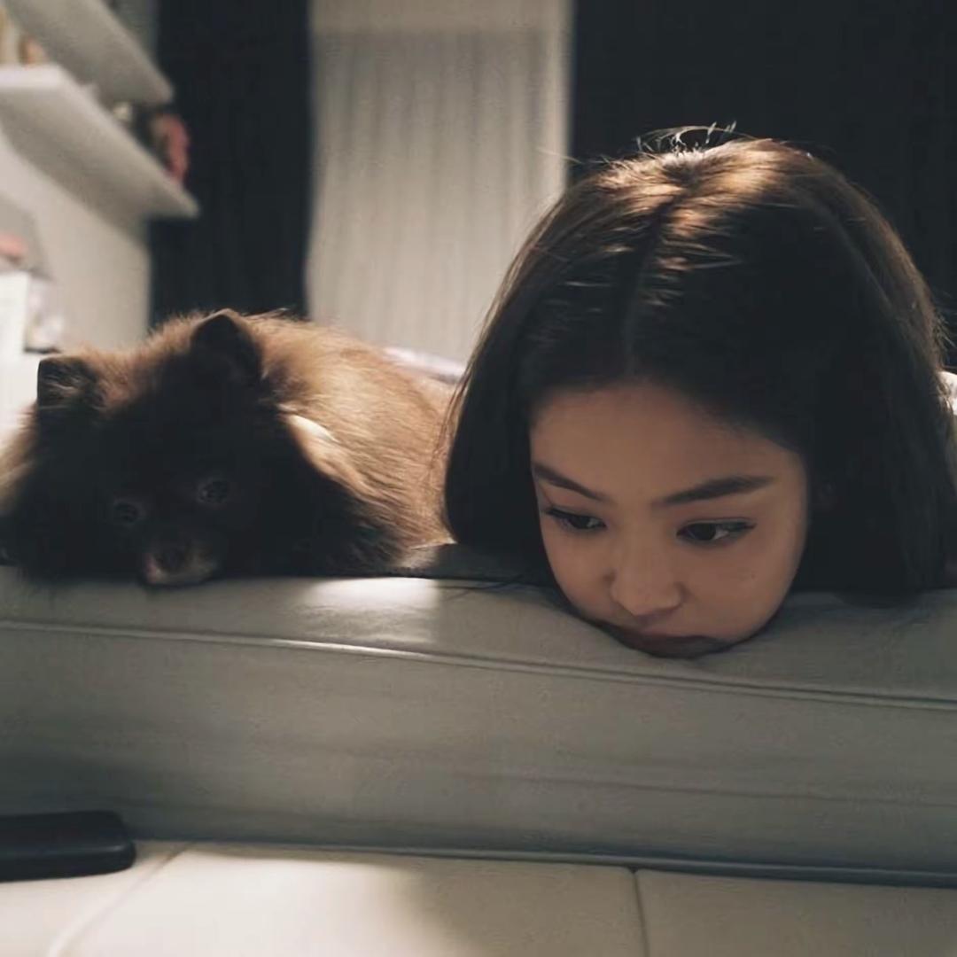 么凹猫猫、