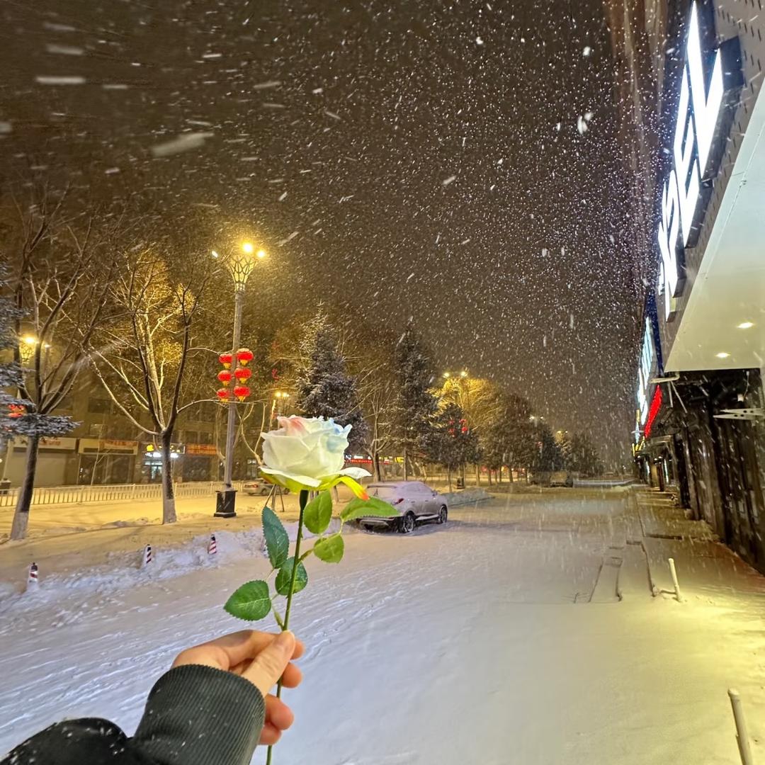 扶摇直上玖万里