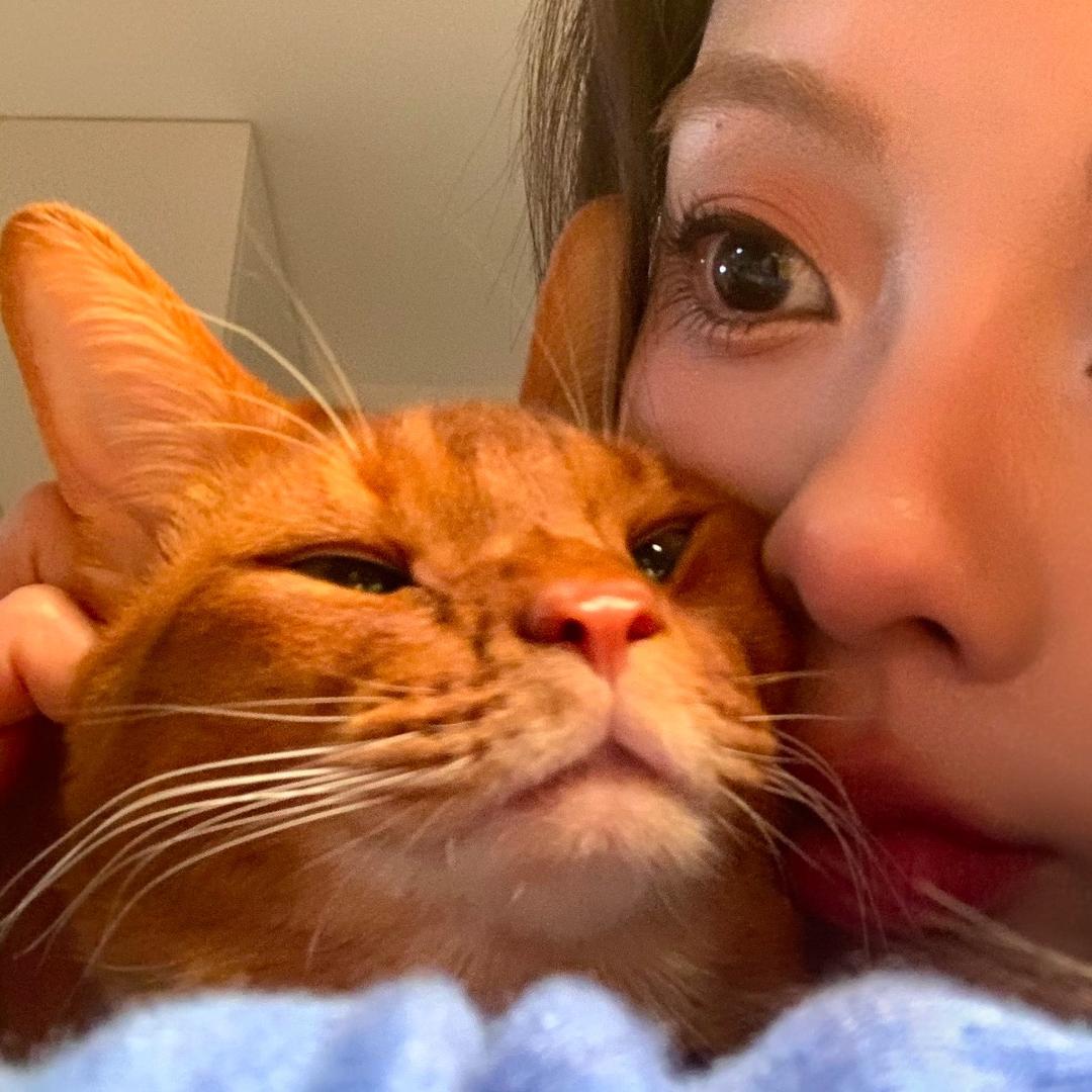 𝟳𝗼𝘃𝗲𝘂🧆