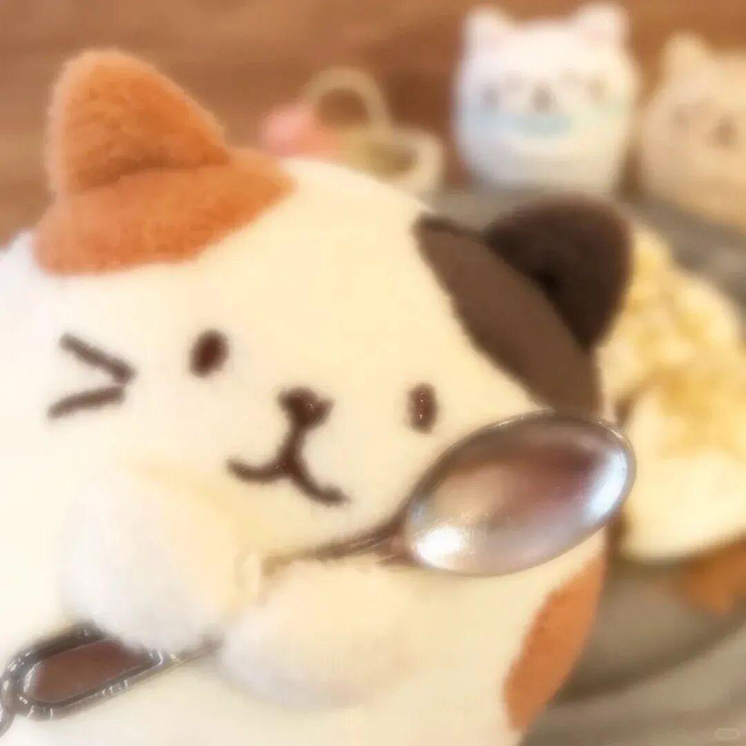 别叫我大卫·戴