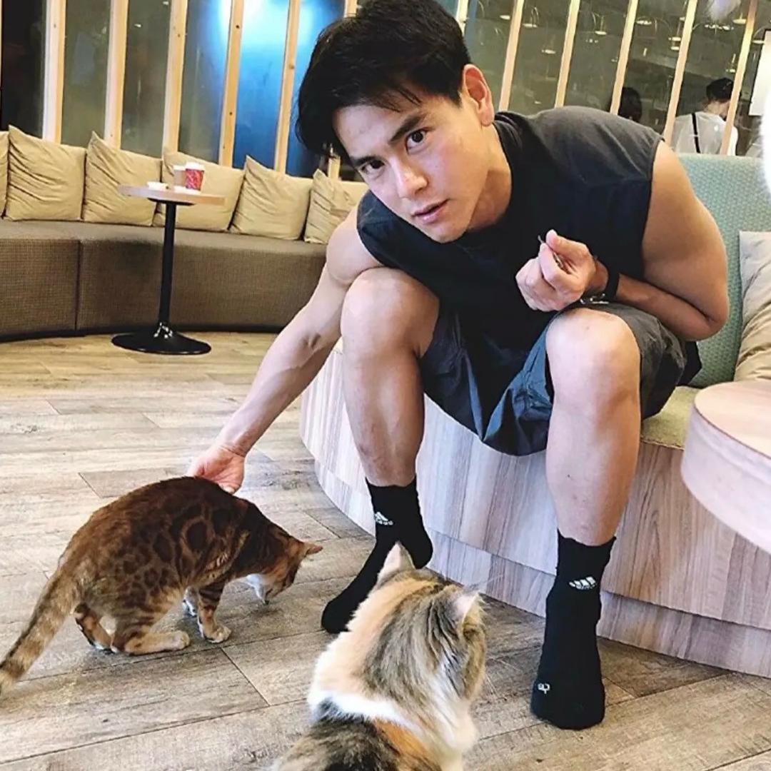 你想要的我给你.