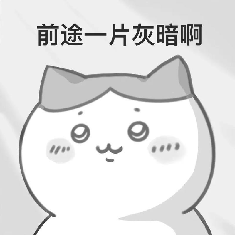 小愚勘一勘的狗