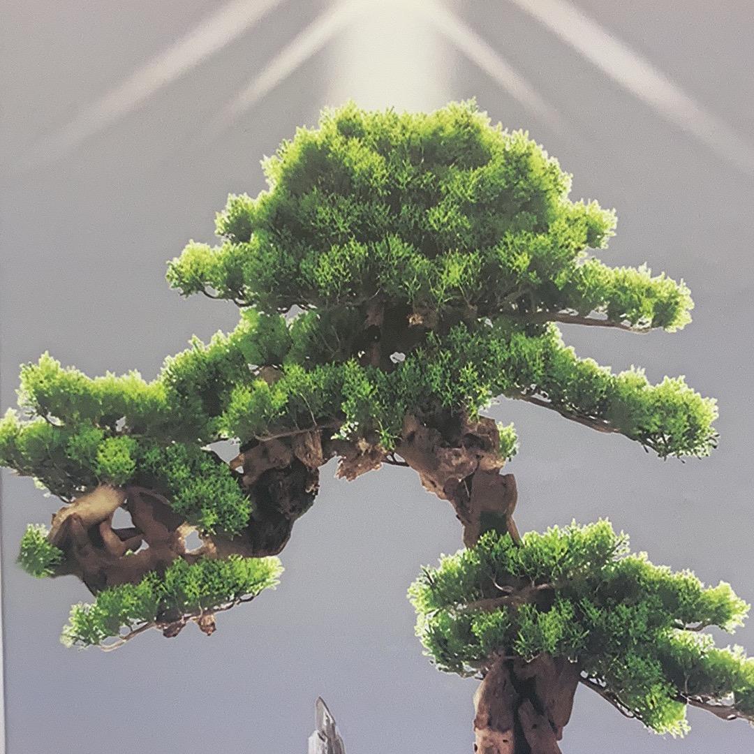 喻贵英