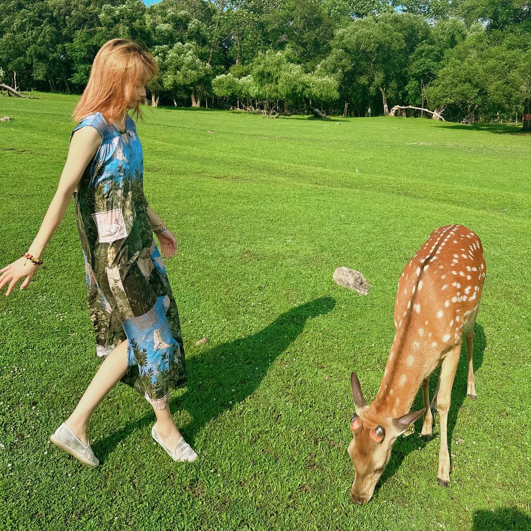 z.🤍.t