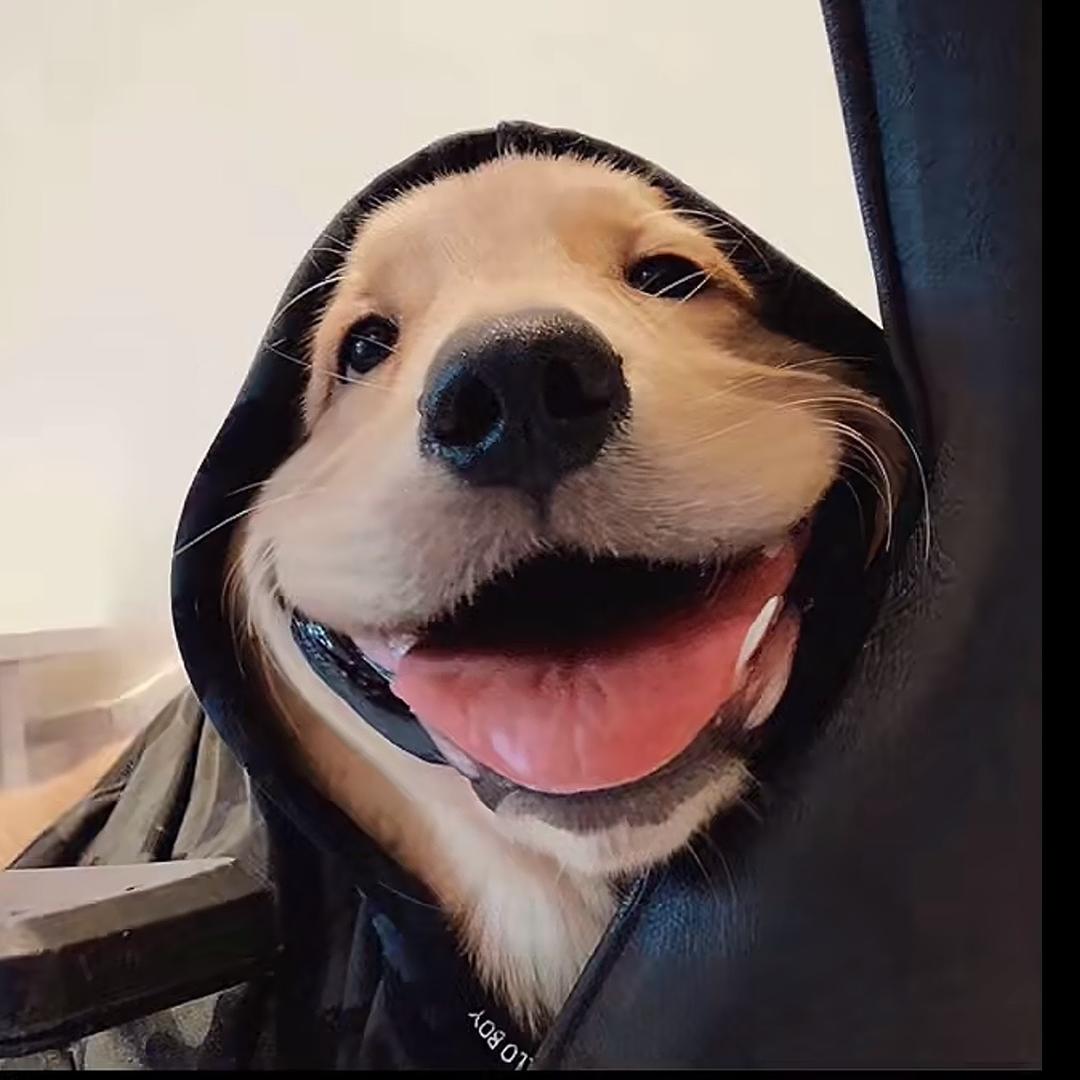 “^_^朱