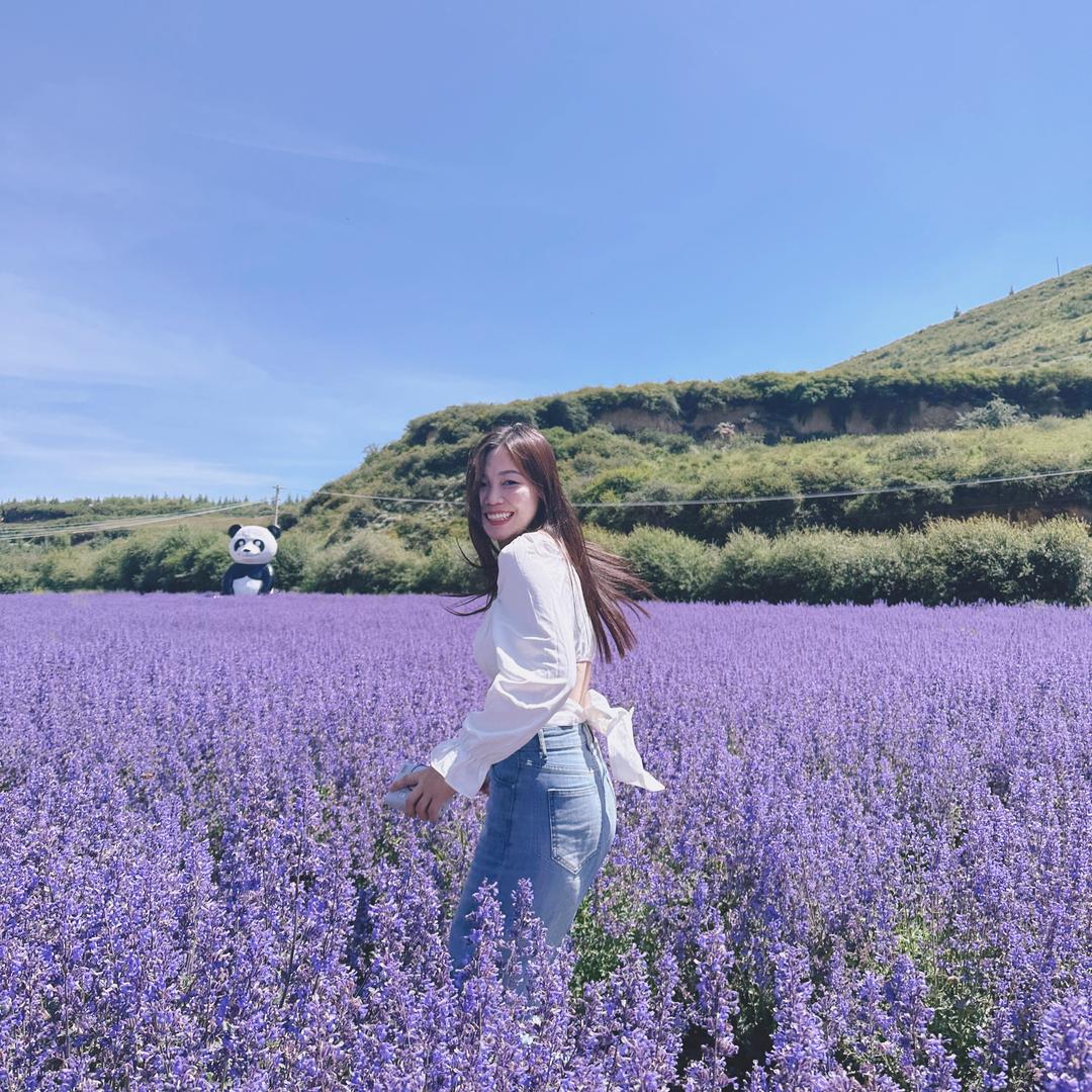 米有蕉绿