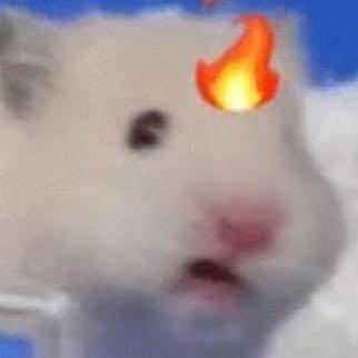 z望z