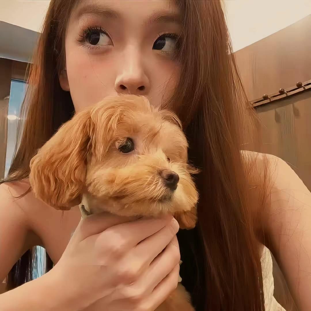 果guo