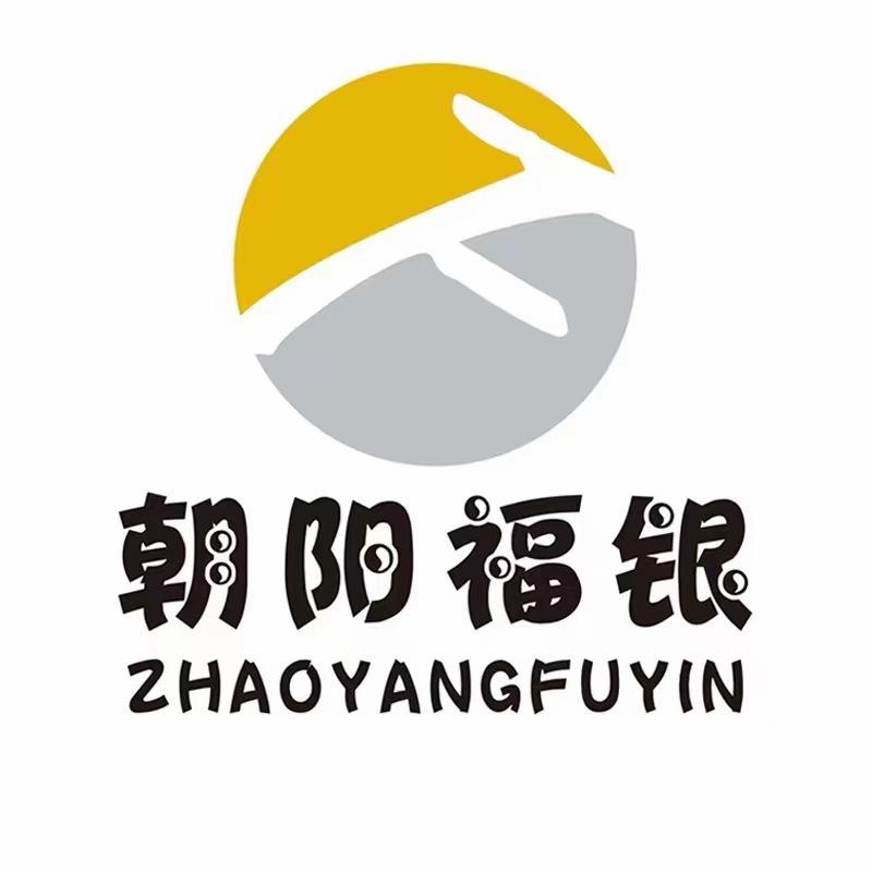 朝阳福银手工银壶