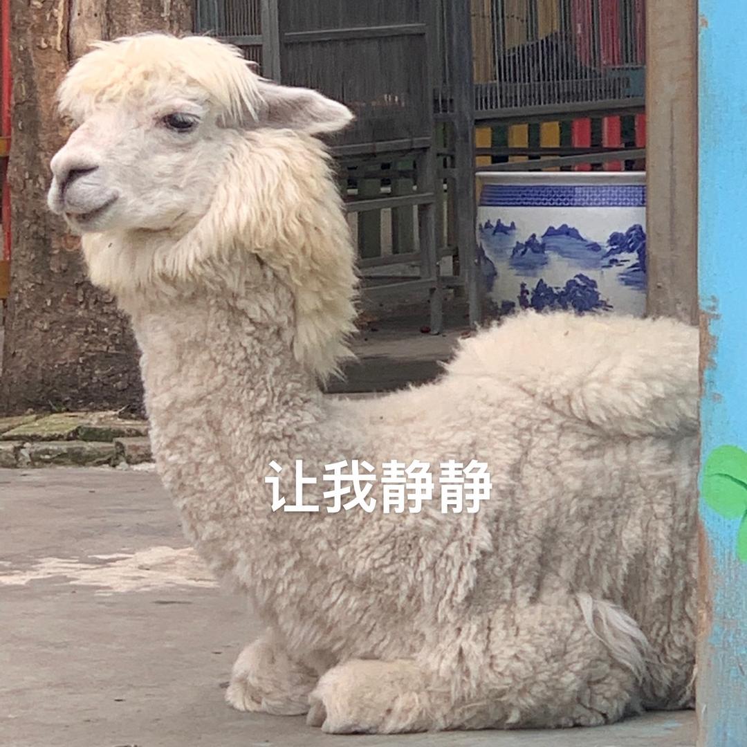你有毒.