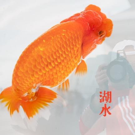 兰寿行者湖水