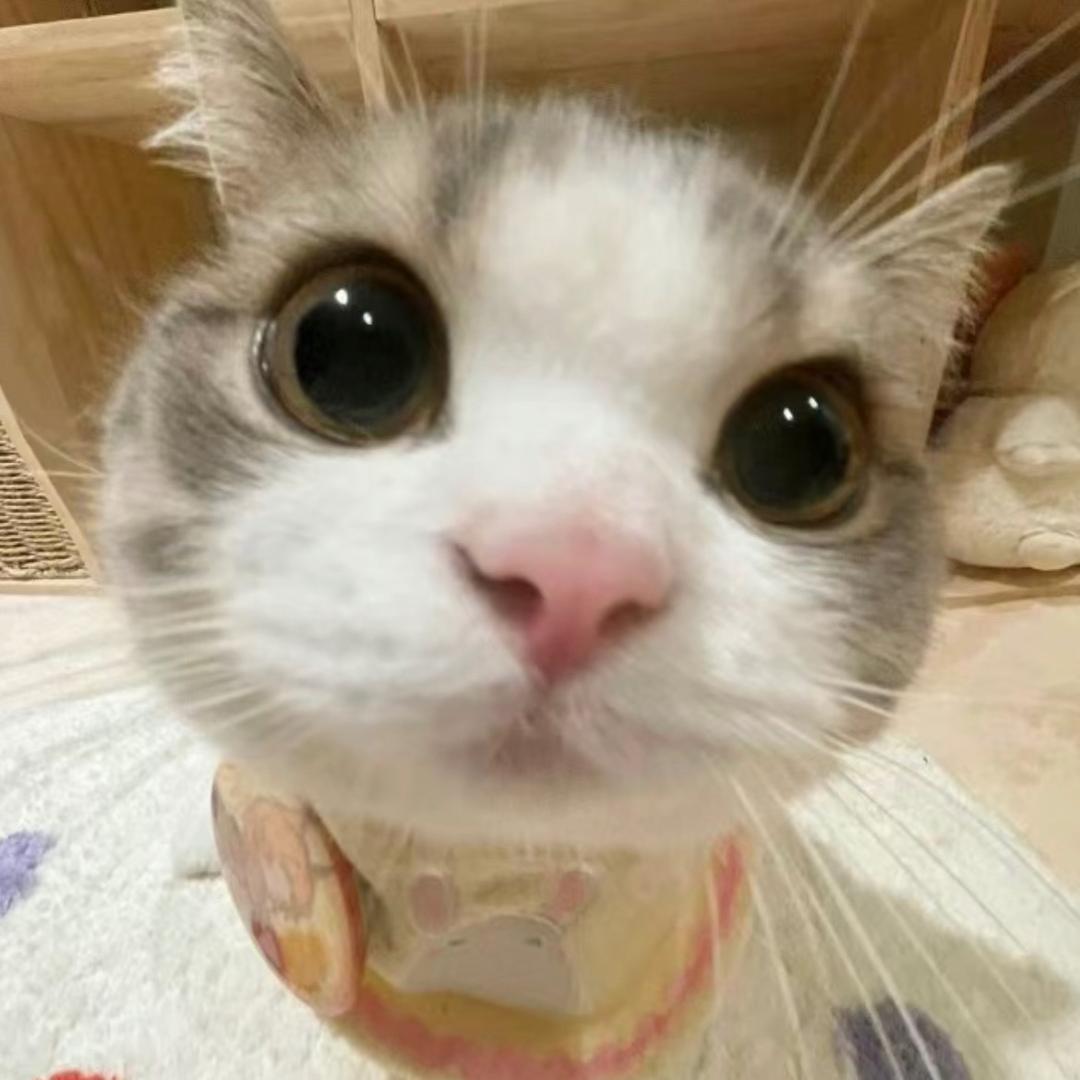 好想打瞌睡