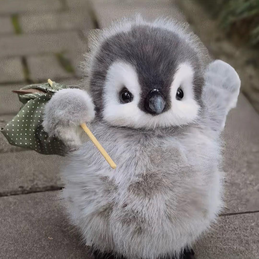 Yi🐧