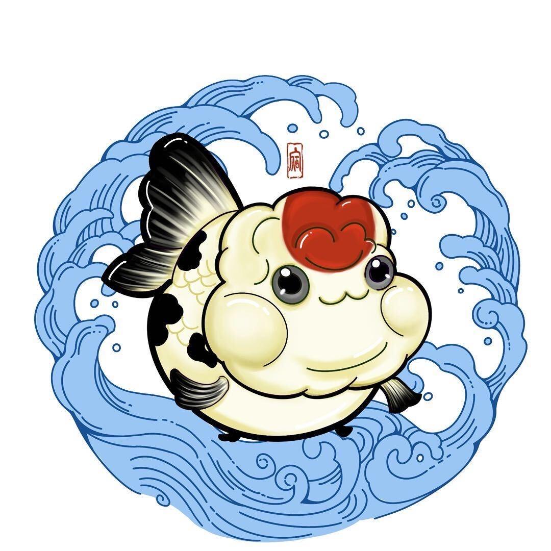 鸿泽兰寿金鱼（蛋总）