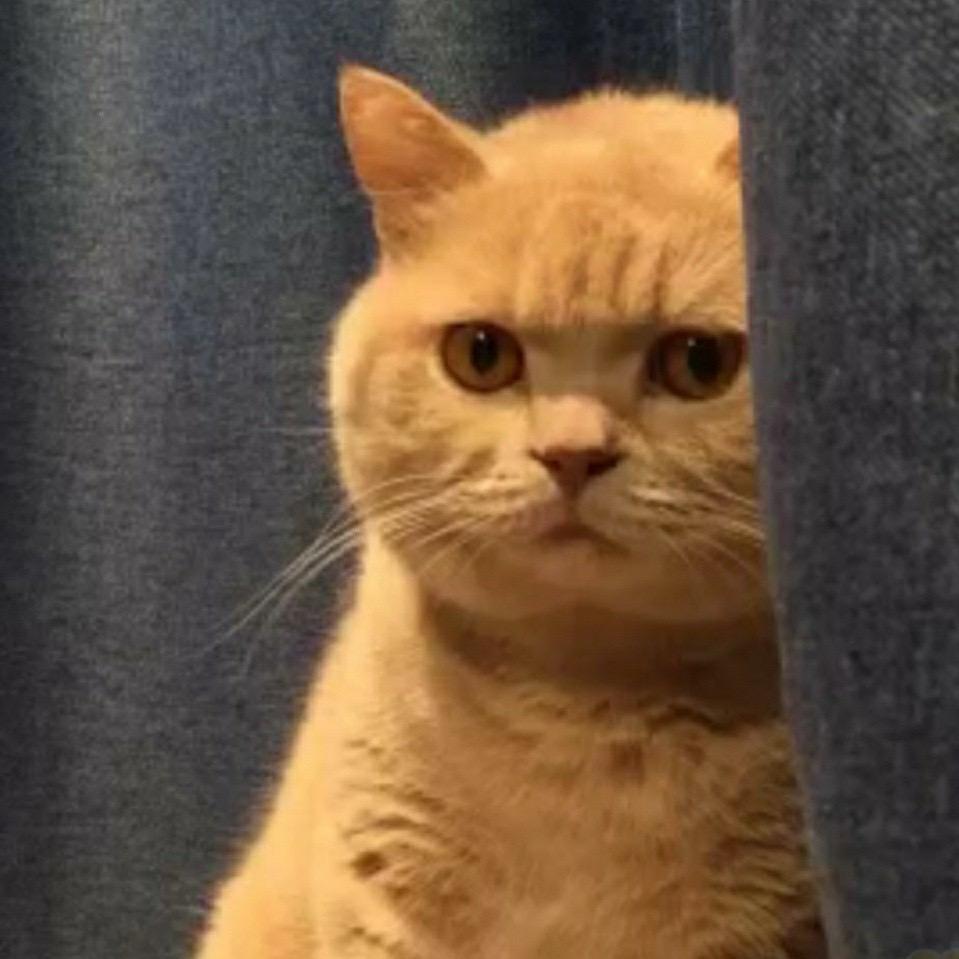 Sunny的桌搭日记