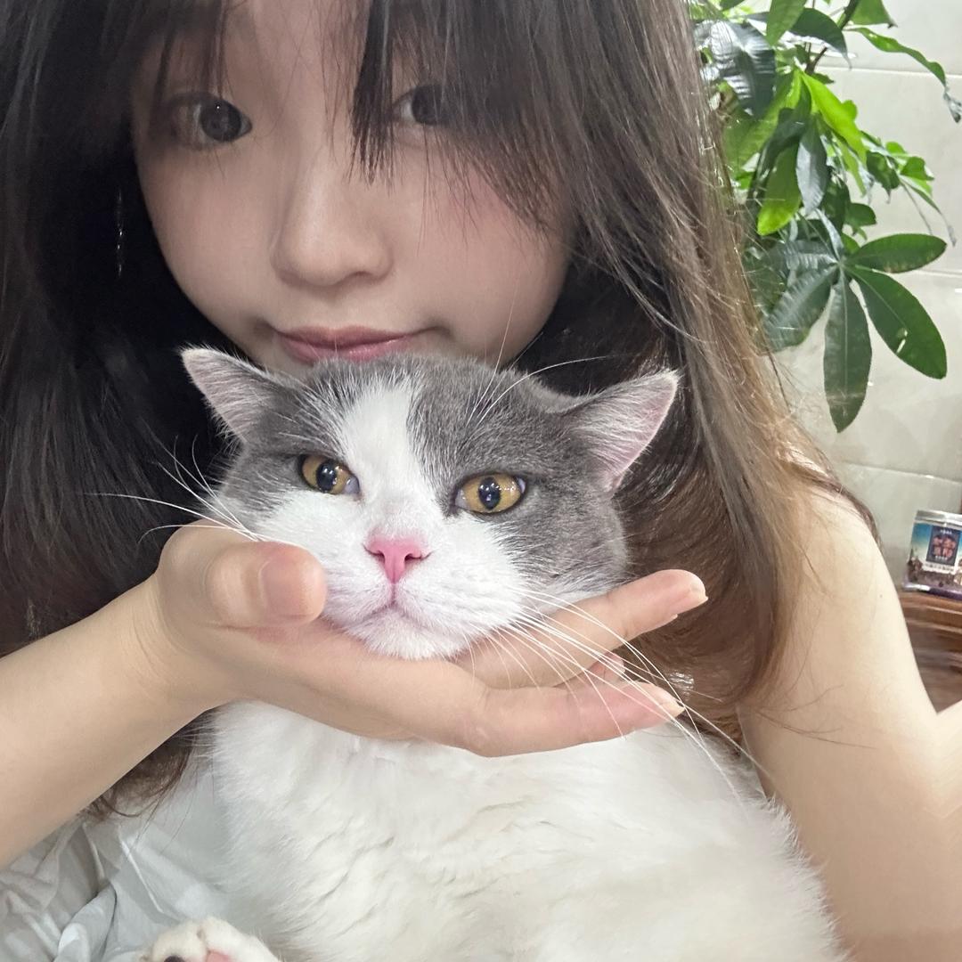今天航航航航航了吗