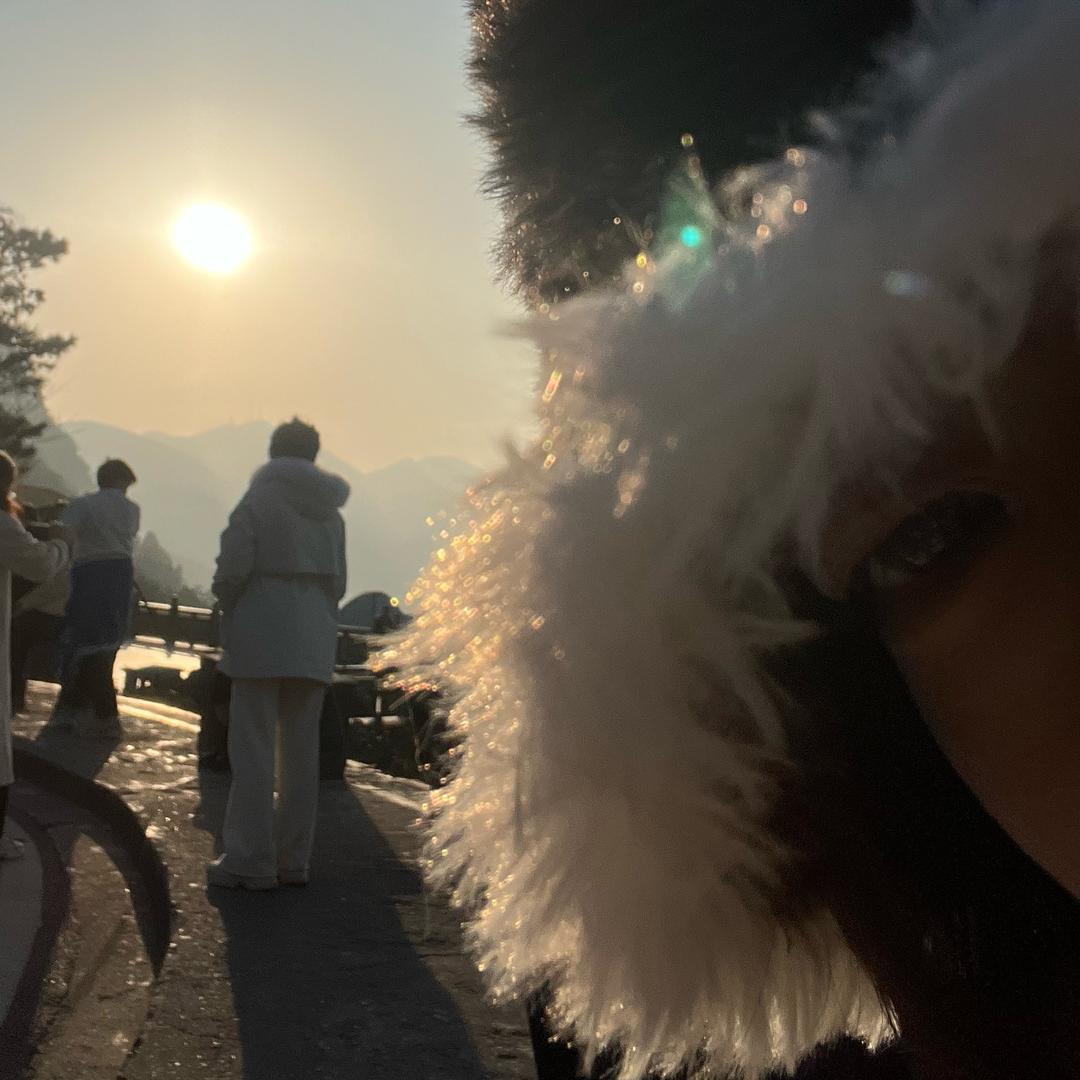 鹅鹅鹅鹅，曲项向天歌