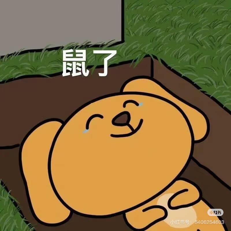啥也不是