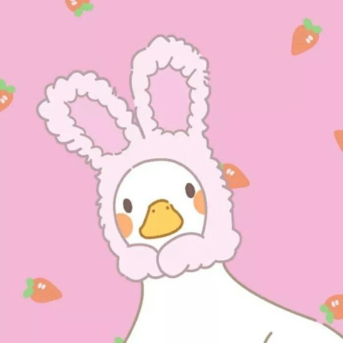 呱呱呱呱