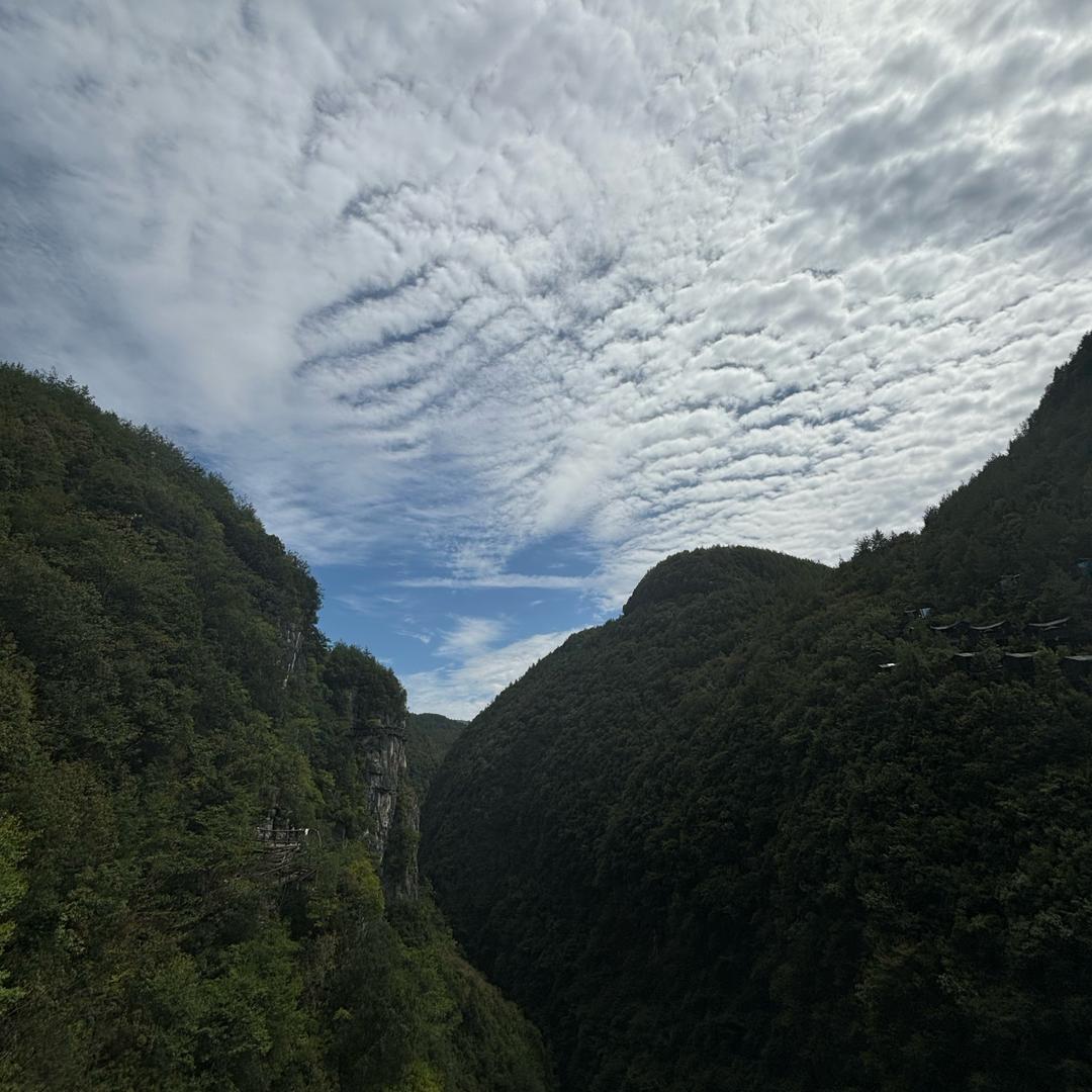 顺风顺水