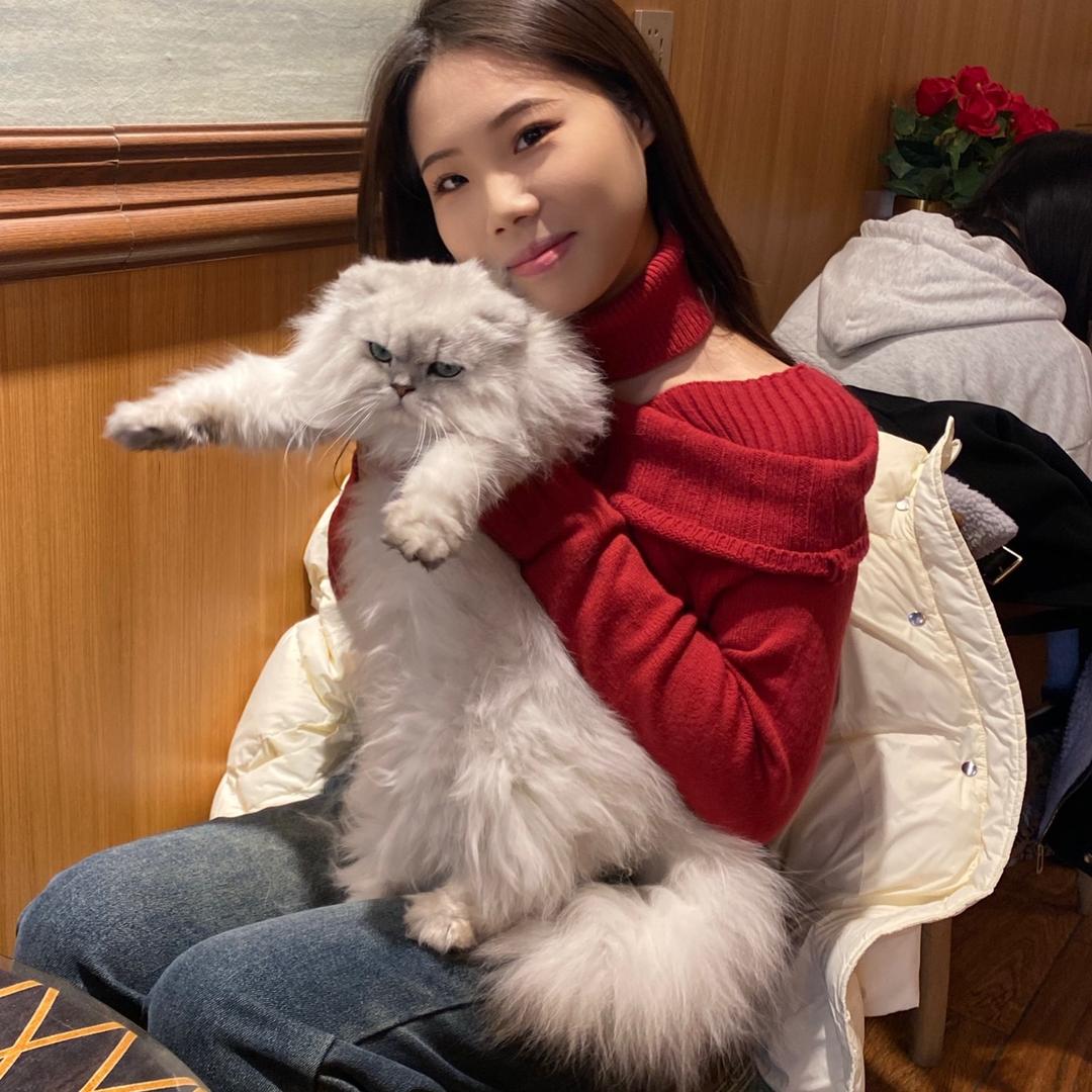 原来你还在这里.