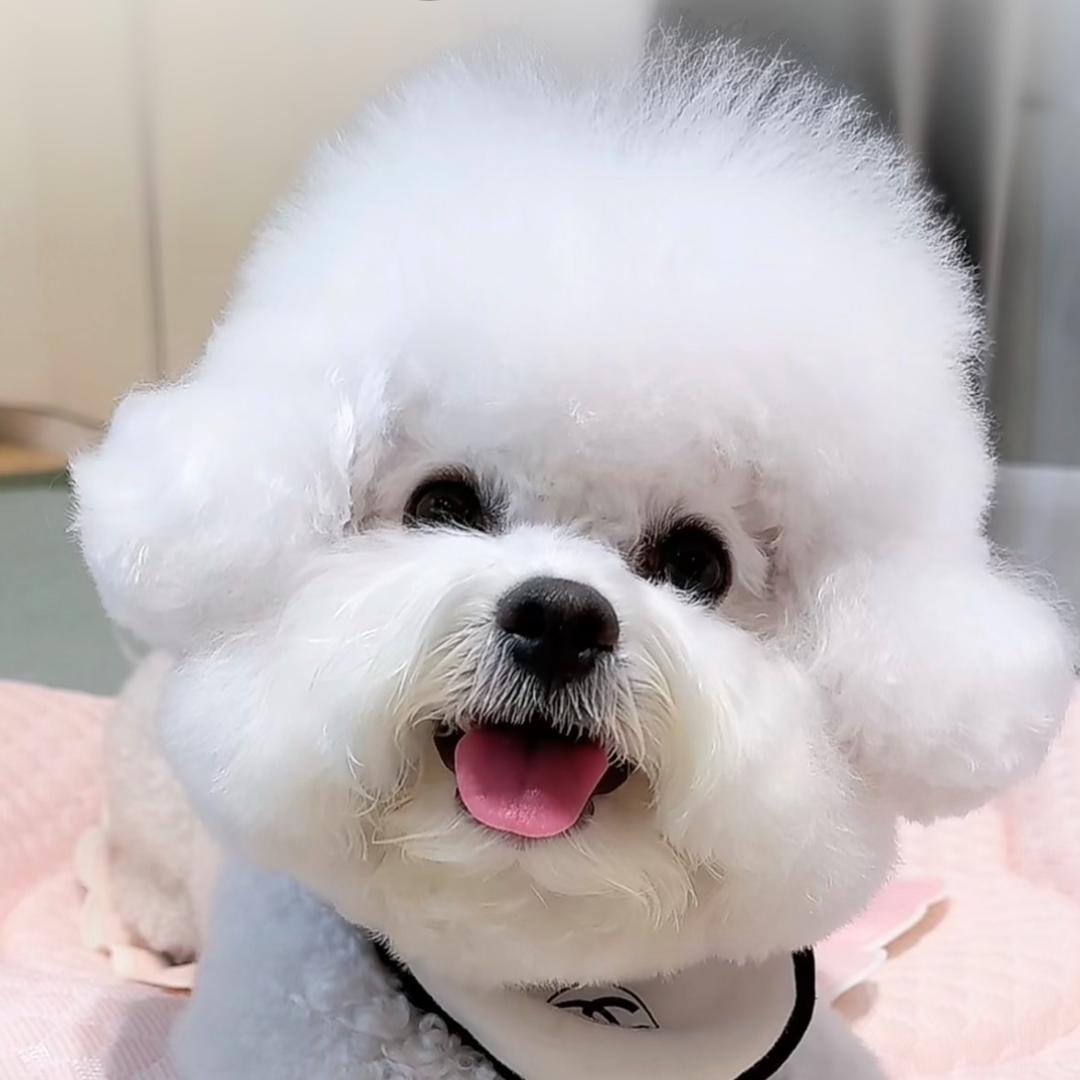 李悠然麻麻